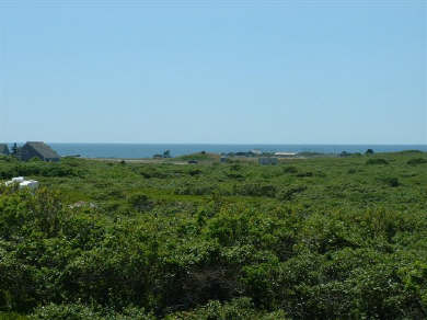 view.jpg